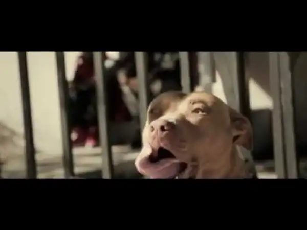 Video: Young Breed - Young Got The Juice